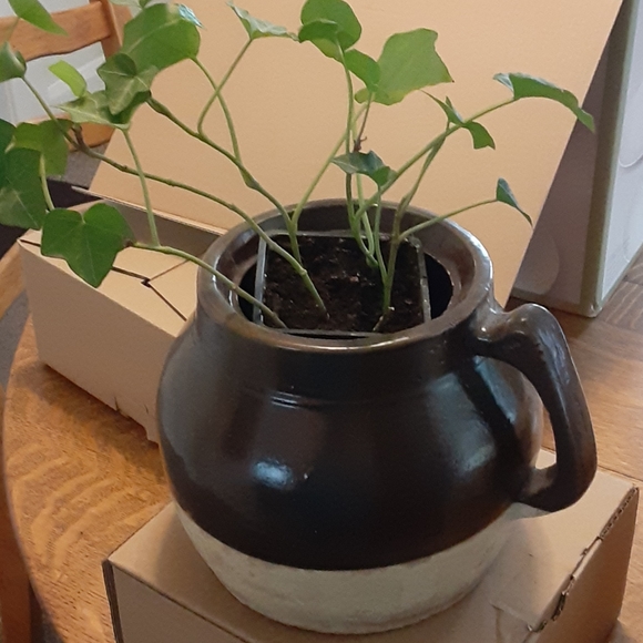 Vintage pottery with handle - Picture 5 of 5